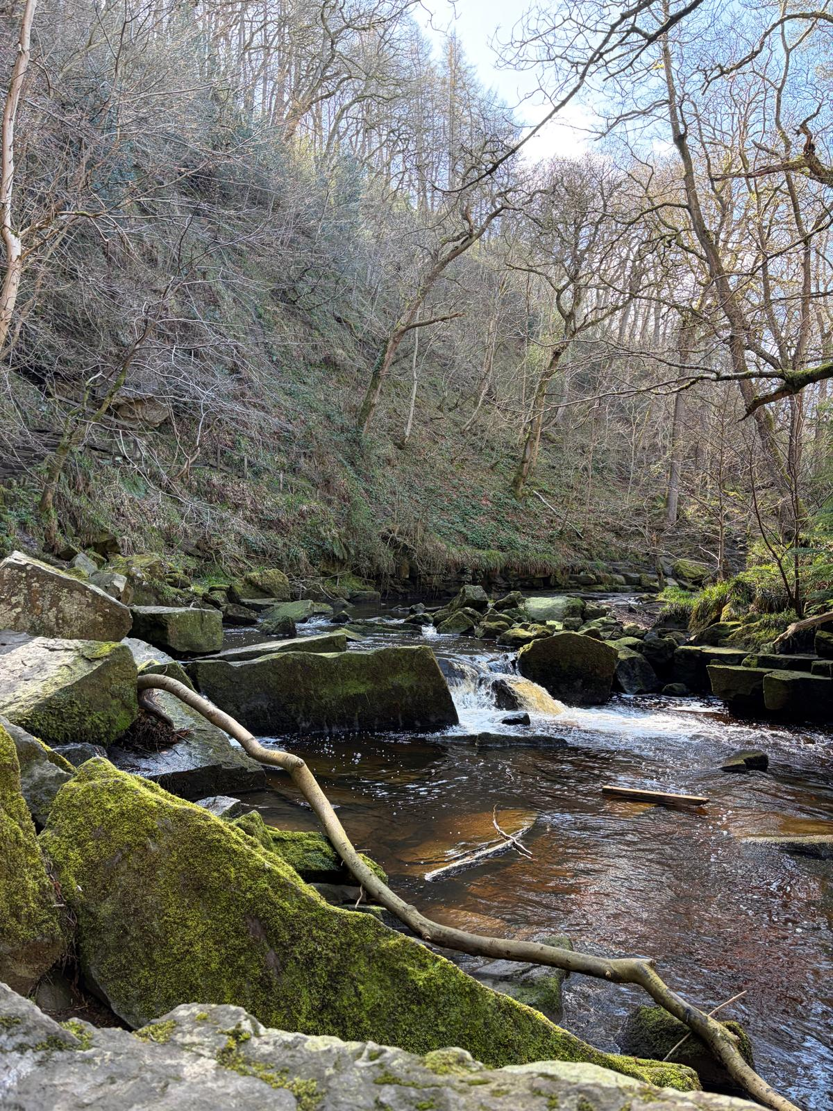 Woodland stream and rocky landscape
