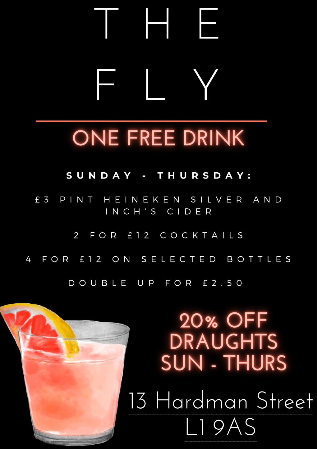 The Fly promotional flyer